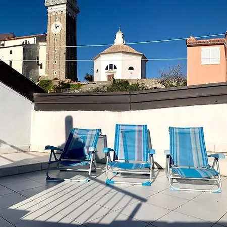 Roofy-top